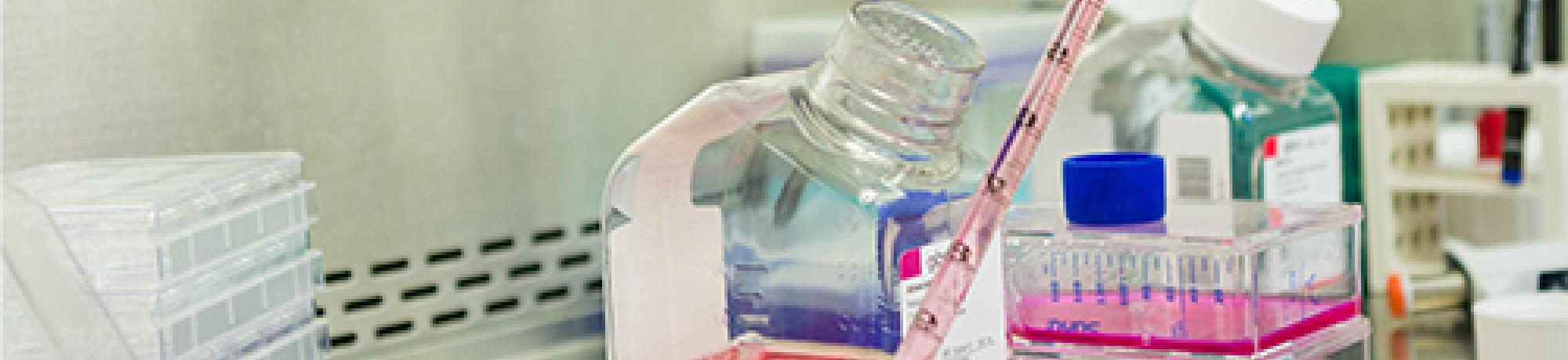 Society of Toxicology